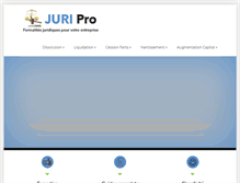 Tablet Screenshot of juripro.net